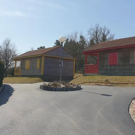19 Chalet Gazania *