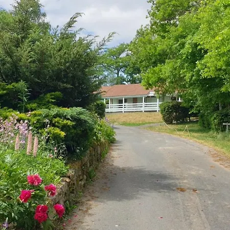 19 Chalet Gazania Chalet